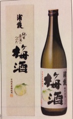 浦霞の純米原酒につけた梅酒 12度(宮城)